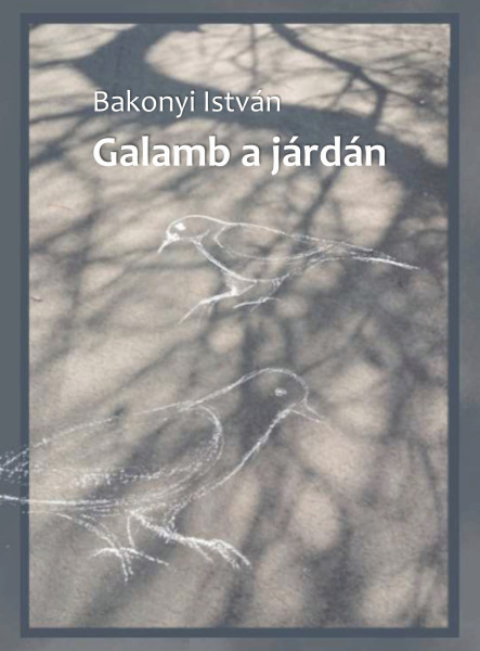 GALAMB A JÁRDÁN