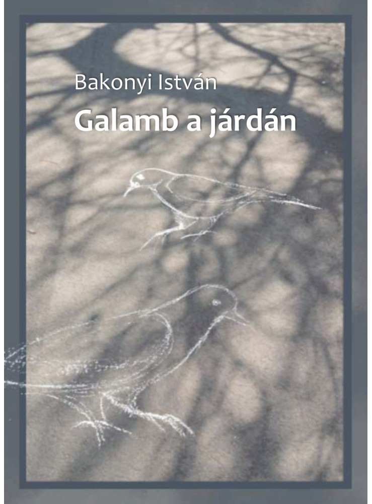 GALAMB A JÁRDÁN