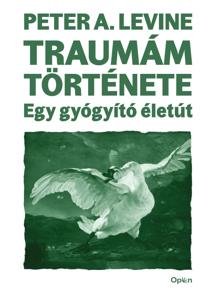 TRAUMÁM TÖRTÉNETE - EGY GYÓGYÍTÓ ÉLETÚT TRAUMÁM TÖRTÉNETE - EGY GYÓGYÍTÓ ÉLETÚT