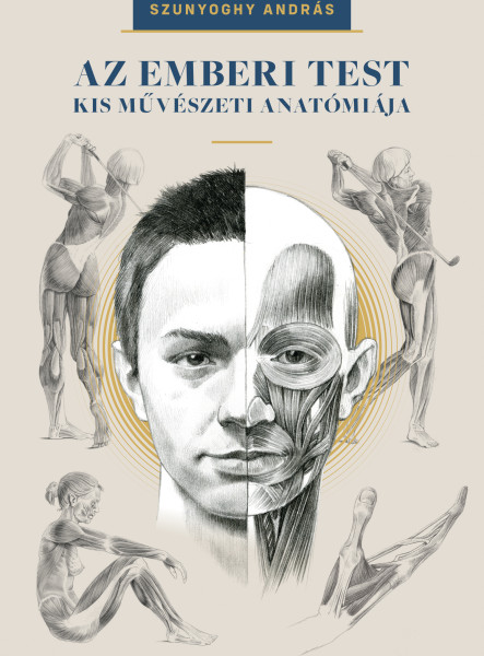 AZ EMBERI TEST KIS MŰVÉSZETI ANATÓMIÁJA