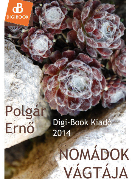 Nomádok vágtája (ekönyv)