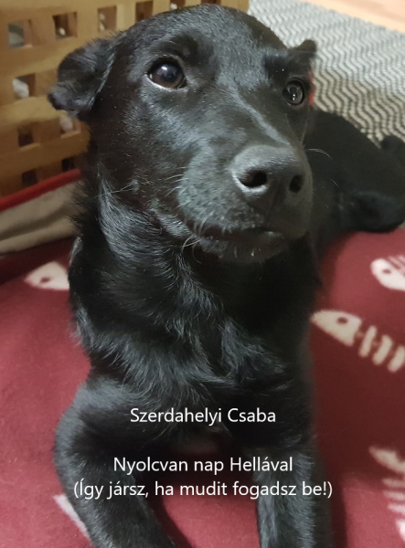 Nyolcvan nap Hellával (ekönyv)