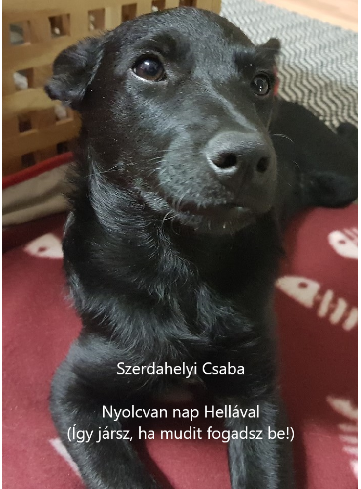 Nyolcvan nap Hellával (ekönyv) Nyolcvan nap Hellával (ekönyv)