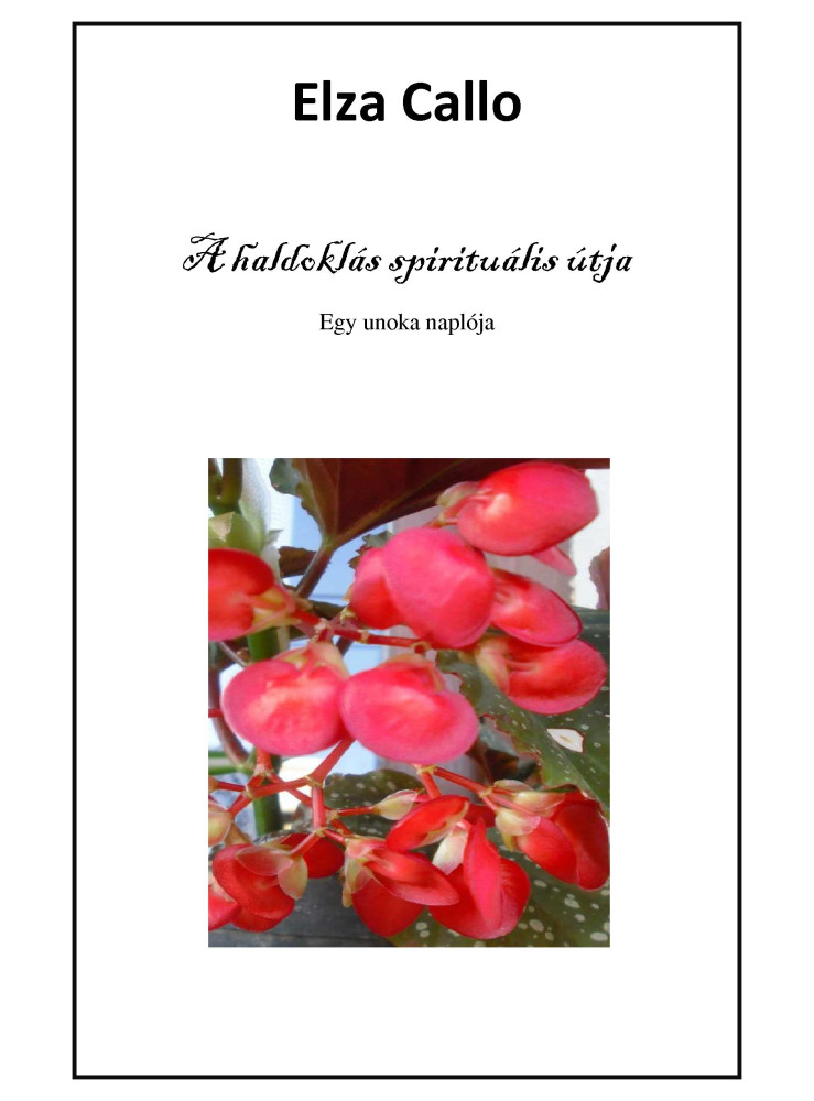 A haldoklás spirituális útja (ekönyv) A haldoklás spirituális útja (ekönyv)