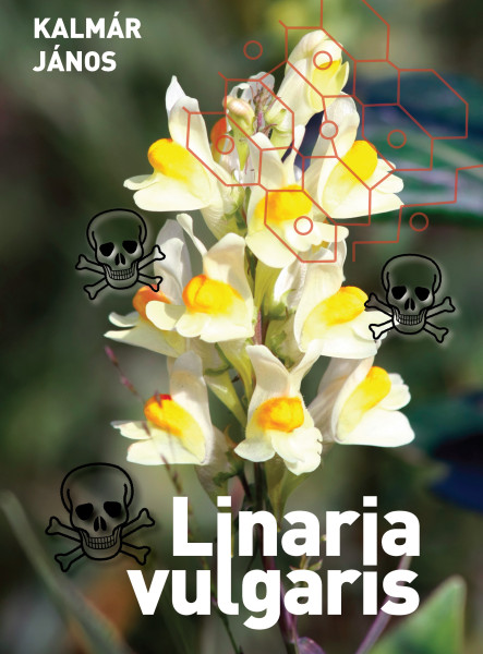 Linaria vulgaris (ekönyv)
