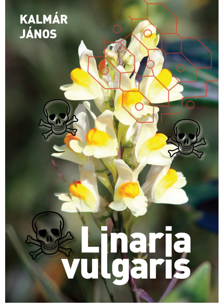 Linaria vulgaris (ekönyv) Linaria vulgaris (ekönyv)