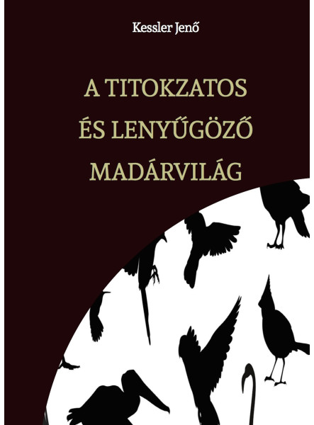 A TITOKZATOS ÉS LENYŰGÖZŐ MADÁRVILÁG 