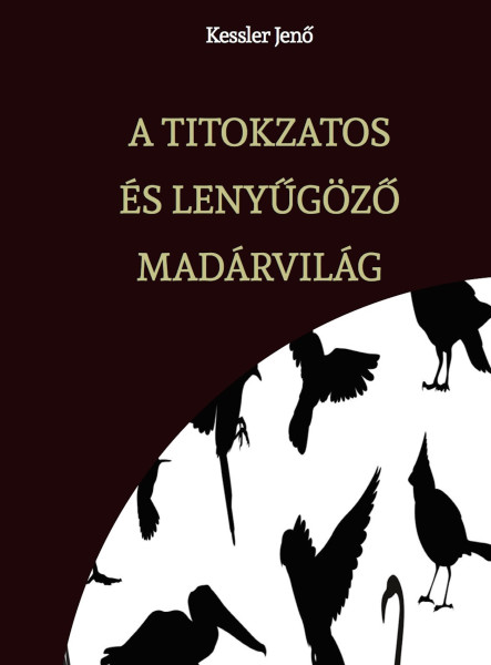 A TITOKZATOS ÉS LENYŰGÖZŐ MADÁRVILÁG  (ekönyv)