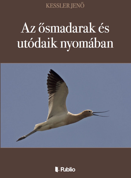 Az ősmadarak és utódaik nyomában (ekönyv)
