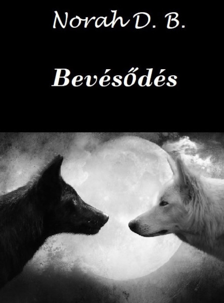 Bevésődés  (ekönyv)