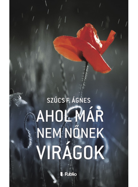 Ahol már nem nőnek virágok (ekönyv)