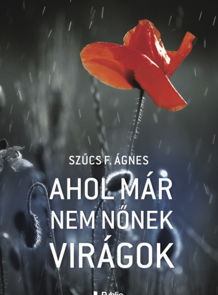 Ahol már nem nőnek virágok (ekönyv)
