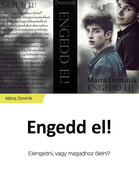 Engedd el! (ekönyv)