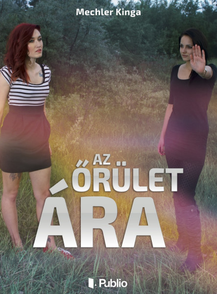 Az őrület ára (ekönyv)