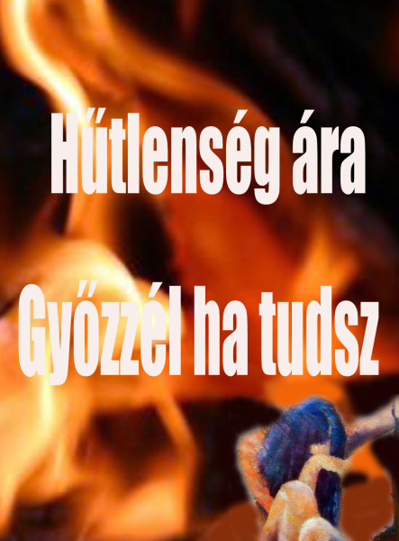 Hűtlenség ára. Győzzél ha tudsz (ekönyv)