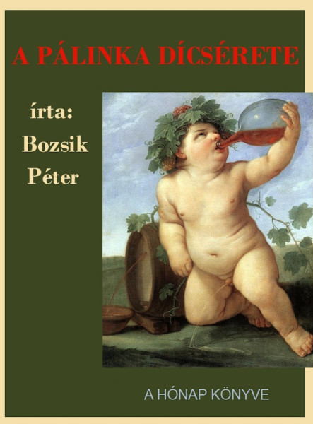 A pálinka dicsérete (ekönyv)
