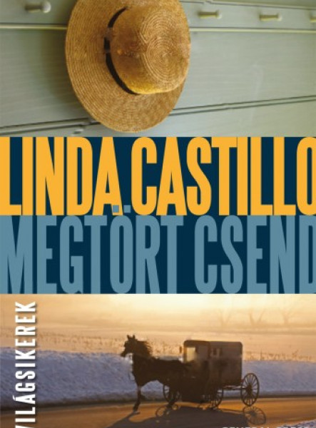 Megtört csend (ekönyv)