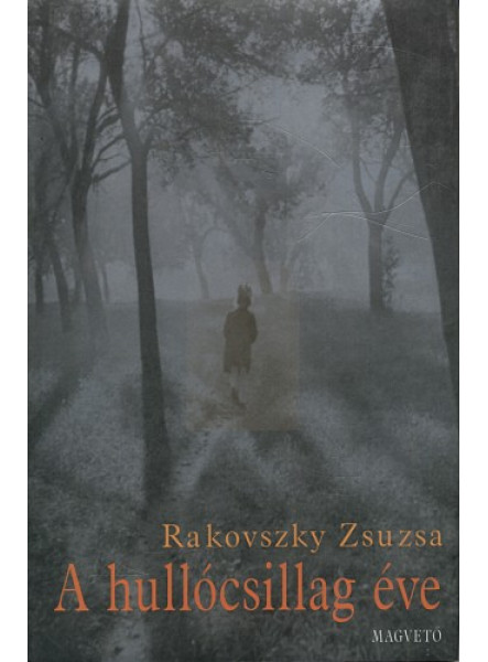 A hullócsillag éve