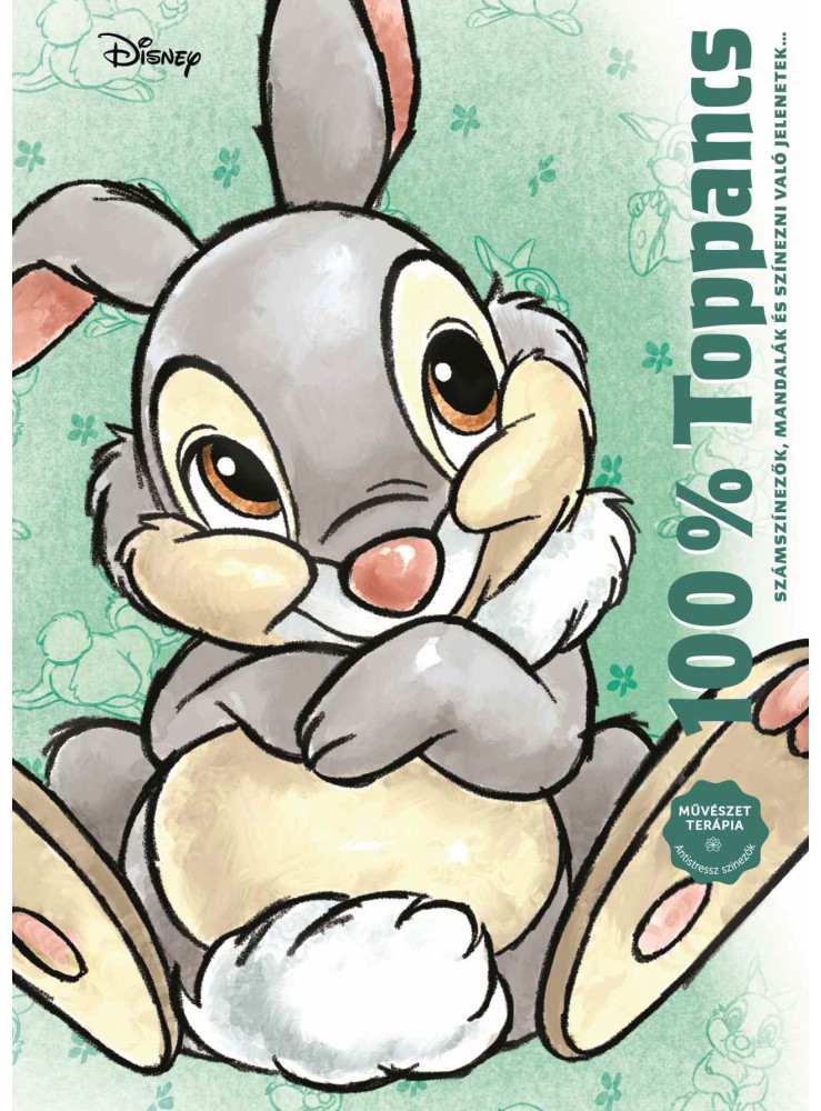 DISNEY - 100% TOPPANCS DISNEY - 100% TOPPANCS