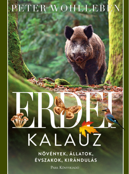 Erdei kalauz (ekönyv)