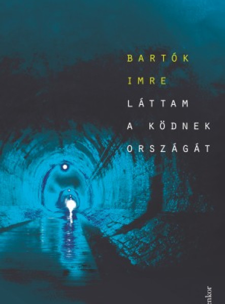Láttam a ködnek országát (ekönyv)