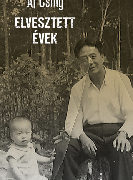 Elvesztett évek (ekönyv)