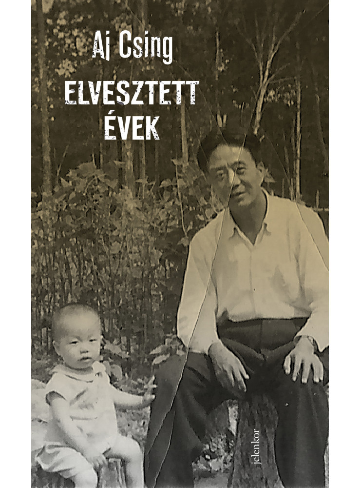 Elvesztett évek (ekönyv) Elvesztett évek (ekönyv)