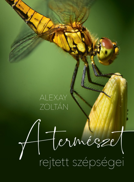 A TERMÉSZET REJTETT SZÉPSÉGEI