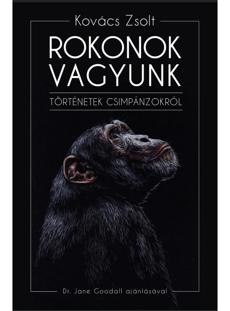 ROKONOK VAGYUNK- TÖRTÉNETEK CSIMPÁNZOKRÓL ROKONOK VAGYUNK- TÖRTÉNETEK CSIMPÁNZOKRÓL