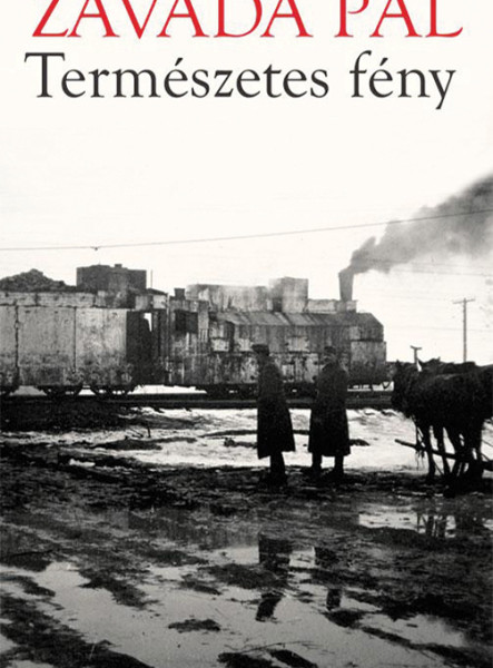 Természetes fény (ekönyv)