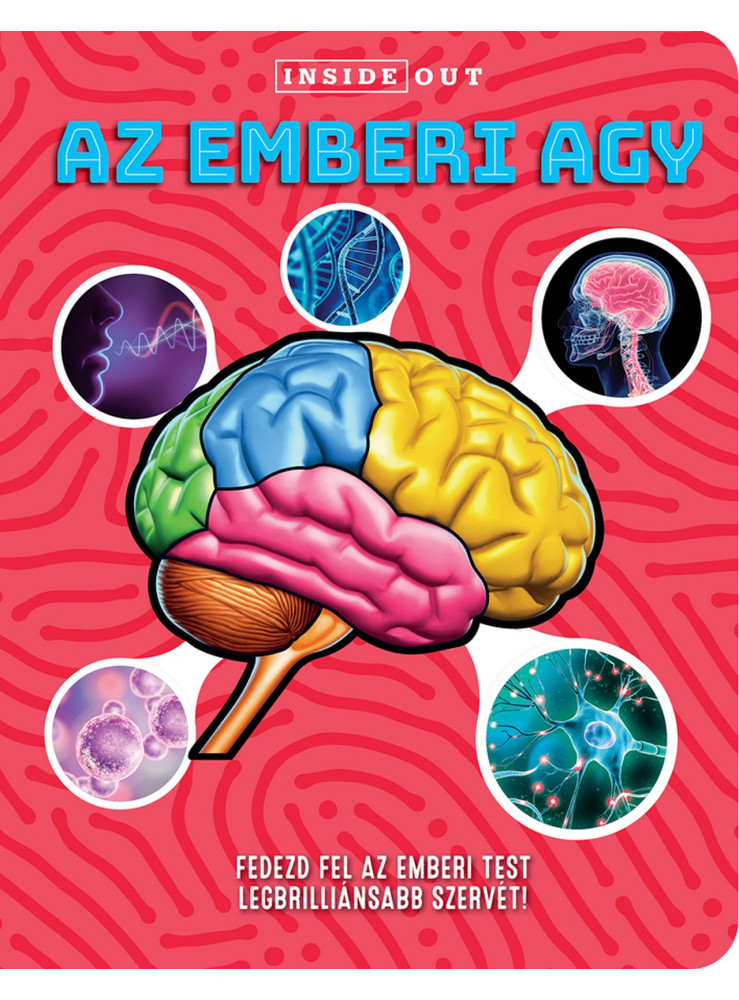 AZ EMBERI AGY - FEDEZD FEL AZ EMBERI TEST LEGBRILLIÁNSABB SZERVÉT!