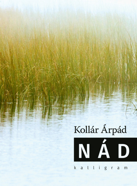 NÁD