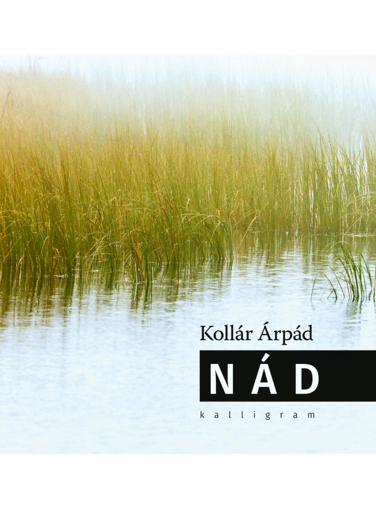 NÁD NÁD