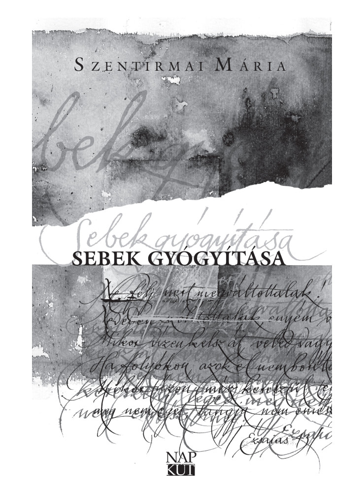 SEBEK GYÓGYÍTÁSA SEBEK GYÓGYÍTÁSA