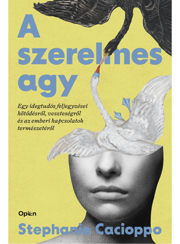 A SZERELMES AGY - EGY IDEGTUDÓS FELJEGYZÉSEI KÖTŐDÉSRŐL, VESZTESÉGRŐL...