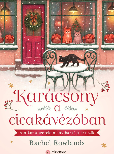KARÁCSONY A CICAKÁVÉZÓBAN