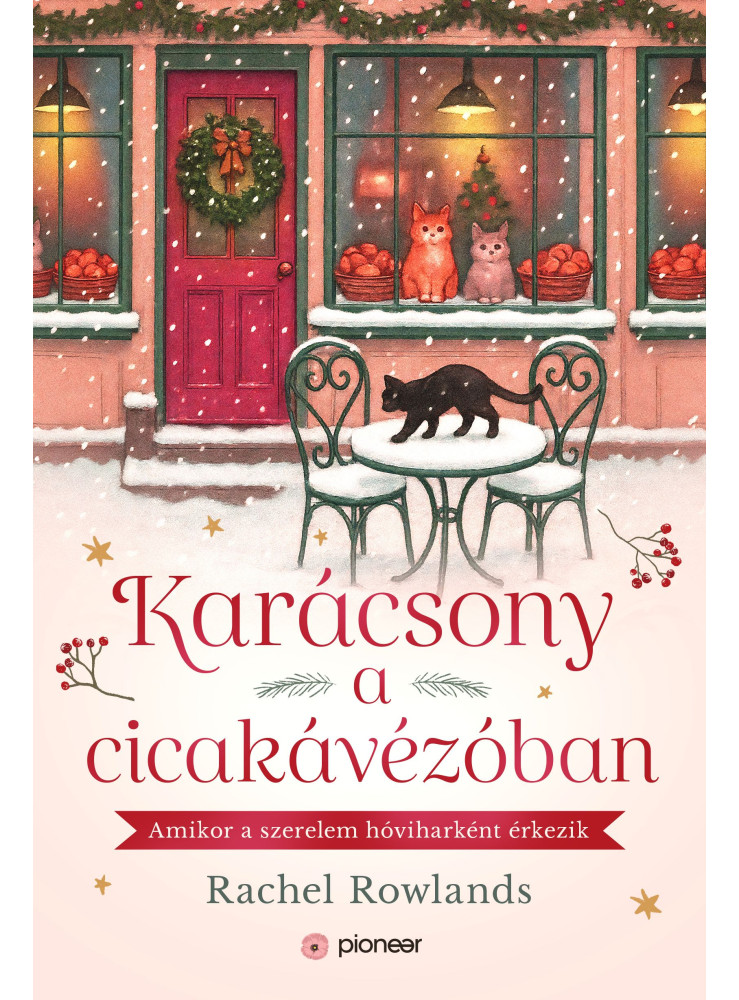 KARÁCSONY A CICAKÁVÉZÓBAN KARÁCSONY A CICAKÁVÉZÓBAN