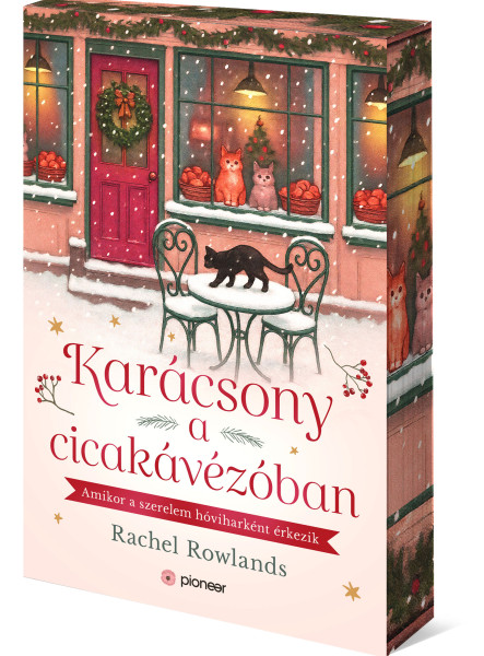 KARÁCSONY A CICAKÁVÉZÓBAN - ÉLFESTETT