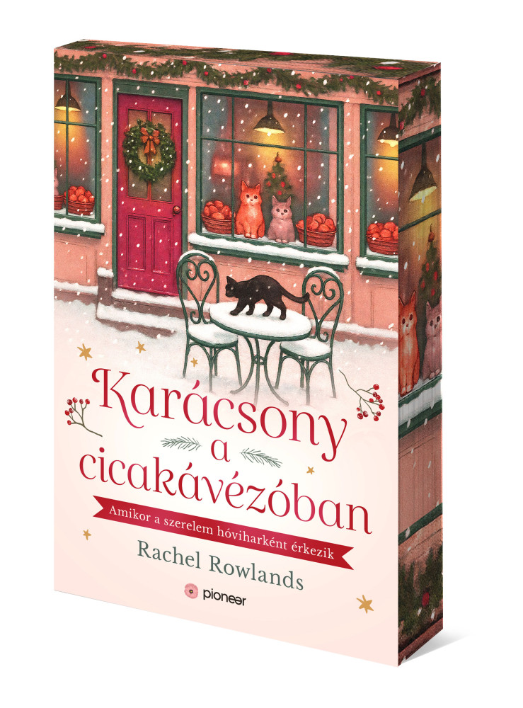 KARÁCSONY A CICAKÁVÉZÓBAN - ÉLFESTETT KARÁCSONY A CICAKÁVÉZÓBAN - ÉLFESTETT