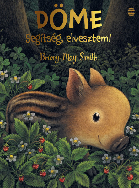 DÖME - SEGÍTSÉG, ELVESZTEM!