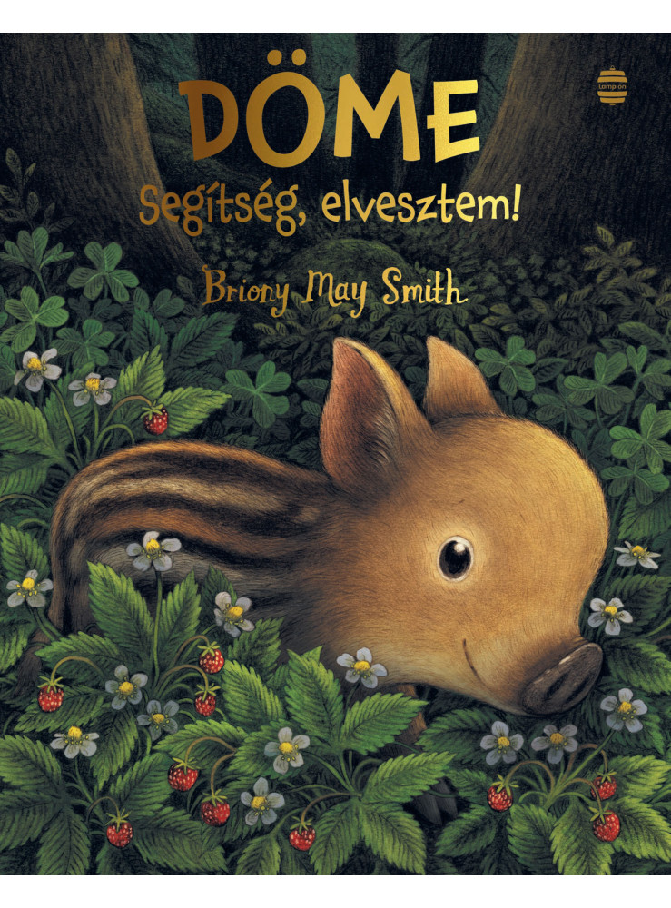 DÖME - SEGÍTSÉG, ELVESZTEM!