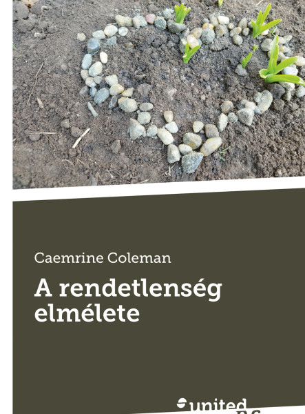 A RENDETLENSÉG ELMÉLETE