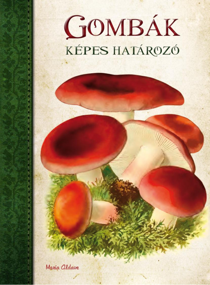 GOMBÁK - KÉPES HATÁROZÓ GOMBÁK - KÉPES HATÁROZÓ
