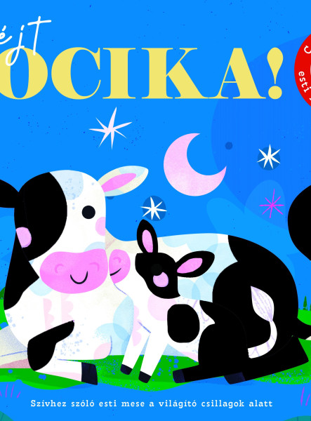 JÓ ÉJT, BOCIKA! -  CSILLAGFÉNYES ESTI MESÉK KICSIKNEK