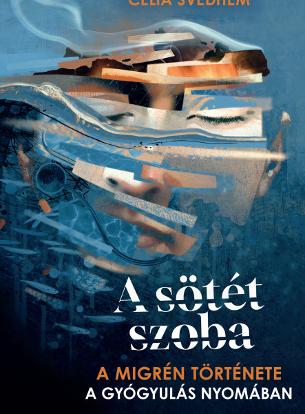 A sötét szoba - A migrén története a gyógyulás nyomában