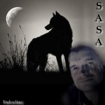 Borbáth Sándor