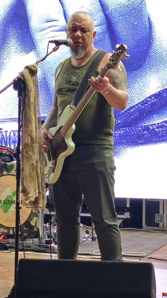 Somogyi József